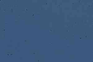 Линолеум Forbo Sphera Energetic 50207 denim фото  | FLOORDEALER